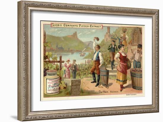 Wine: Rhine Wine-null-Framed Giclee Print