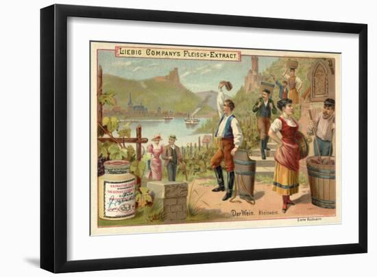 Wine: Rhine Wine-null-Framed Giclee Print