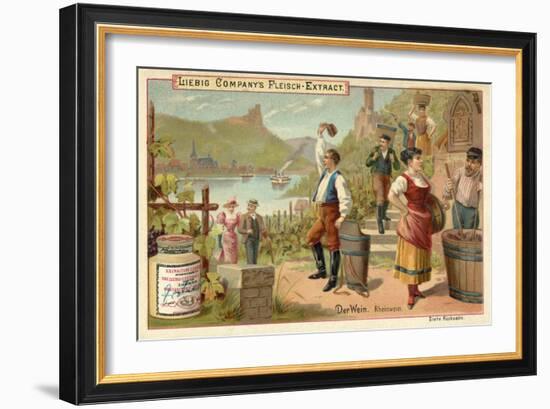 Wine: Rhine Wine-null-Framed Giclee Print