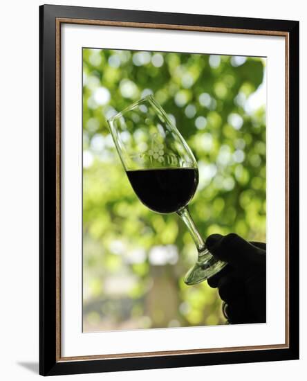 Wine Tasting at Quinta Do Casal Das Freiras. Tomar, Portugal-Mauricio Abreu-Framed Photographic Print