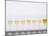 Wine Tasting Glasses, Maison De La Champagne-Per Karlsson-Mounted Photographic Print