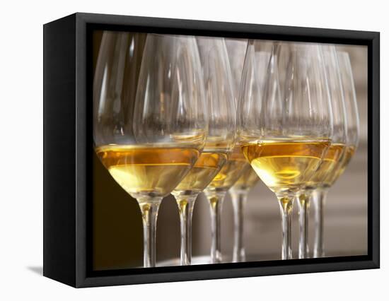 Wine Tasting Glasses with Golden Sweet White Wine from Uroulat Jurancon Charles Hours, France-Per Karlsson-Framed Premier Image Canvas