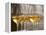 Wine Tasting Glasses with Golden Sweet White Wine from Uroulat Jurancon Charles Hours, France-Per Karlsson-Framed Premier Image Canvas