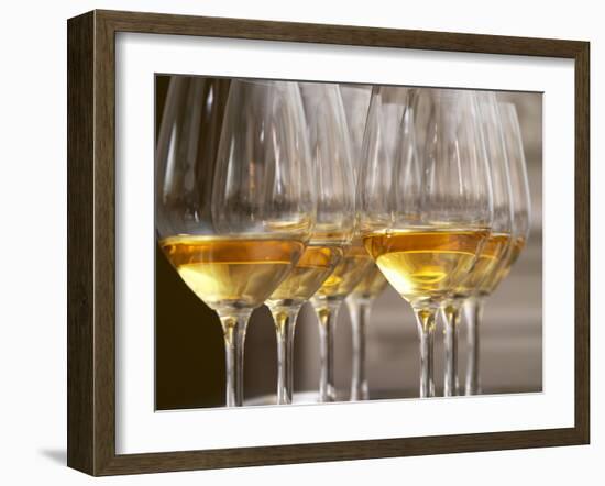 Wine Tasting Glasses with Golden Sweet White Wine from Uroulat Jurancon Charles Hours, France-Per Karlsson-Framed Photographic Print