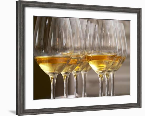 Wine Tasting Glasses with Golden Sweet White Wine from Uroulat Jurancon Charles Hours, France-Per Karlsson-Framed Photographic Print