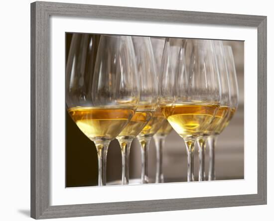 Wine Tasting Glasses with Golden Sweet White Wine from Uroulat Jurancon Charles Hours, France-Per Karlsson-Framed Photographic Print