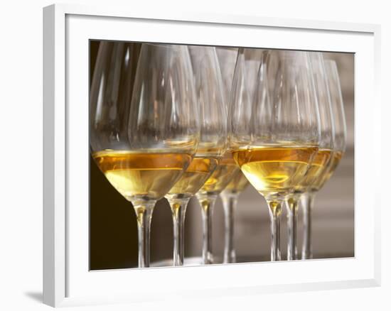 Wine Tasting Glasses with Golden Sweet White Wine from Uroulat Jurancon Charles Hours, France-Per Karlsson-Framed Photographic Print