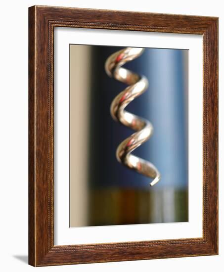 Wine Tasting I-Karyn Millet-Framed Photographic Print