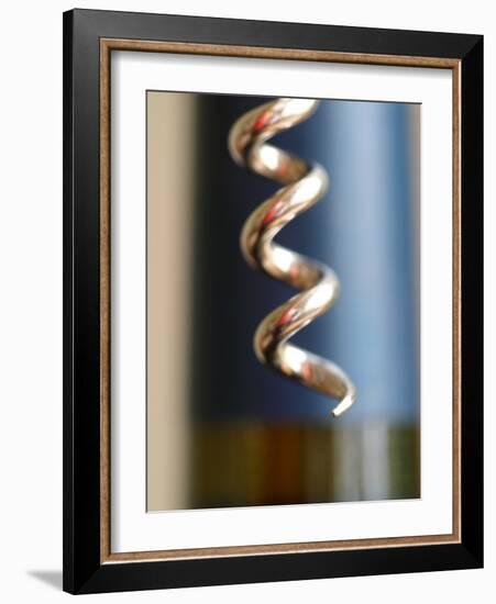 Wine Tasting I-Karyn Millet-Framed Photographic Print