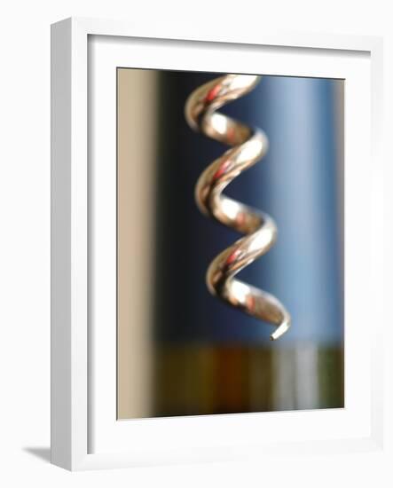 Wine Tasting I-Karyn Millet-Framed Photographic Print