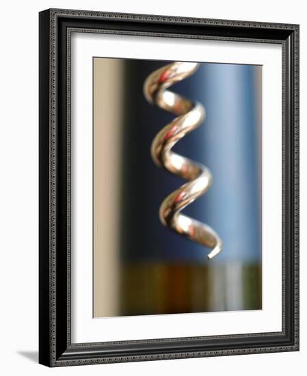 Wine Tasting I-Karyn Millet-Framed Photographic Print