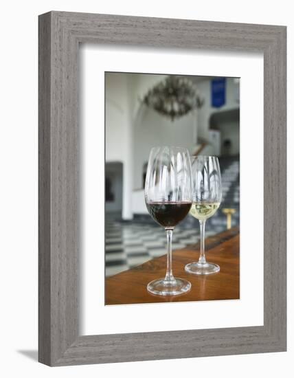 Wine Tasting Room at Vineyard-Jon Hicks-Framed Photographic Print