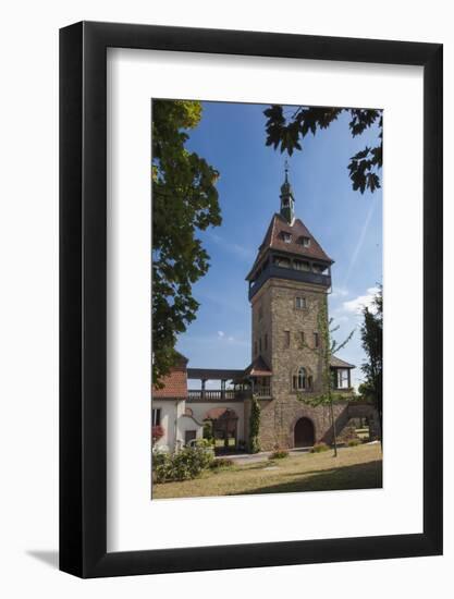 Winehouse, Pfalz Wine area, Germany, Europe-James Emmerson-Framed Photographic Print