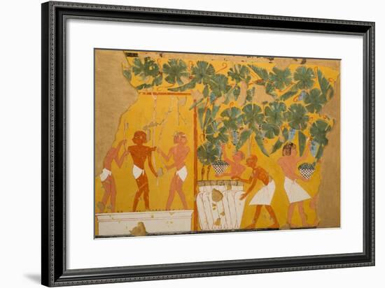 Winemaking, Tomb of Ipuy-Charles Wilkinson-Framed Giclee Print
