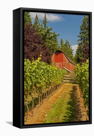 Winery and Vineyard on Whidbey Island, Washington, USA-Richard Duval-Framed Premier Image Canvas