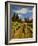 Winery and Vineyard on Whidbey Island, Washington, USA-Richard Duval-Framed Photographic Print