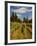 Winery and Vineyard on Whidbey Island, Washington, USA-Richard Duval-Framed Photographic Print