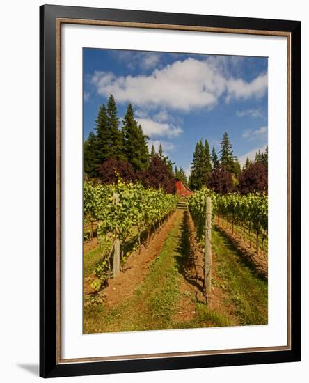 Winery and Vineyard on Whidbey Island, Washington, USA-Richard Duval-Framed Photographic Print