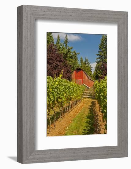 Winery and Vineyard on Whidbey Island, Washington, USA-Richard Duval-Framed Photographic Print