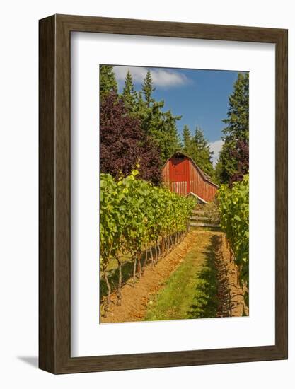 Winery and Vineyard on Whidbey Island, Washington, USA-Richard Duval-Framed Photographic Print