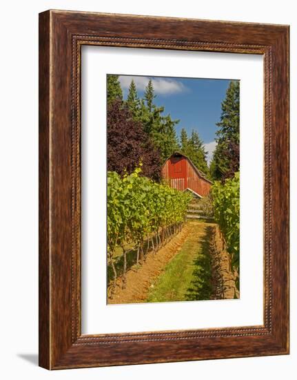 Winery and Vineyard on Whidbey Island, Washington, USA-Richard Duval-Framed Photographic Print