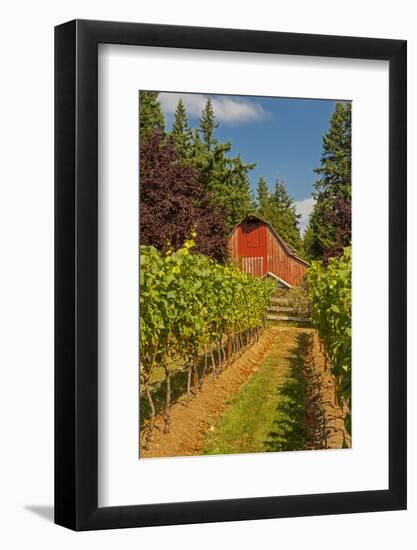 Winery and Vineyard on Whidbey Island, Washington, USA-Richard Duval-Framed Photographic Print