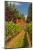 Winery and Vineyard on Whidbey Island, Washington, USA-Richard Duval-Mounted Photographic Print