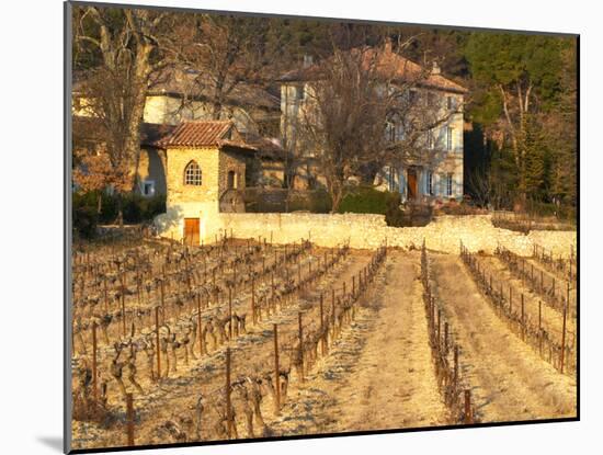 Winery Building at Chateau Saint Cosme, Gigondas, Vaucluse, Rhone, Provence, France-Per Karlsson-Mounted Photographic Print