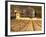 Winery Building at Chateau Saint Cosme, Gigondas, Vaucluse, Rhone, Provence, France-Per Karlsson-Framed Photographic Print