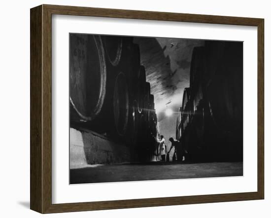 Winery in Gurdzhani, Georgia, Showing Casks in Wine Aging Vault-Stan Wayman-Framed Photographic Print