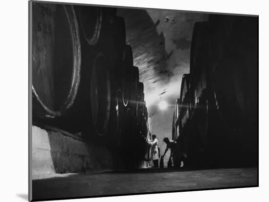 Winery in Gurdzhani, Georgia, Showing Casks in Wine Aging Vault-Stan Wayman-Mounted Photographic Print