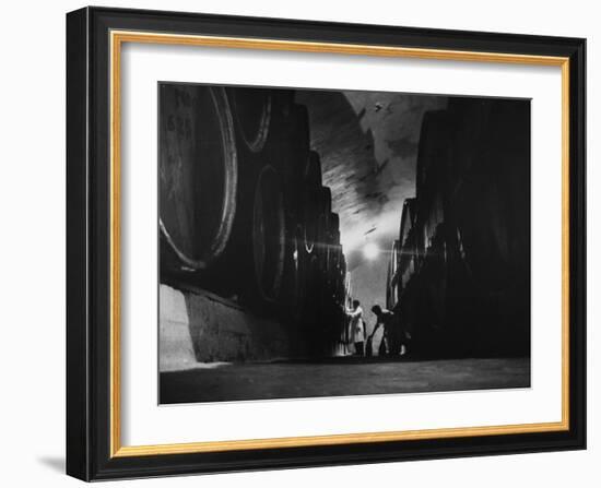 Winery in Gurdzhani, Georgia, Showing Casks in Wine Aging Vault-Stan Wayman-Framed Photographic Print