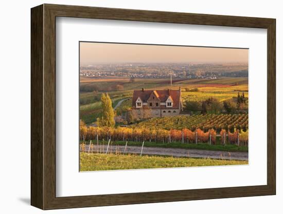 Winery in the Vineyards in Autumn at Sunset-Marcus Lange-Framed Photographic Print