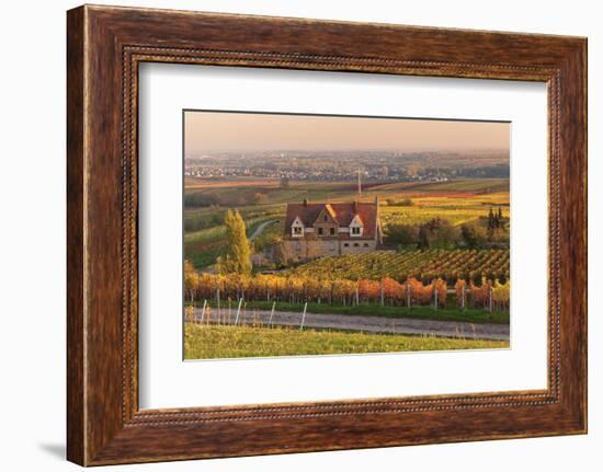 Winery in the Vineyards in Autumn at Sunset-Marcus Lange-Framed Photographic Print