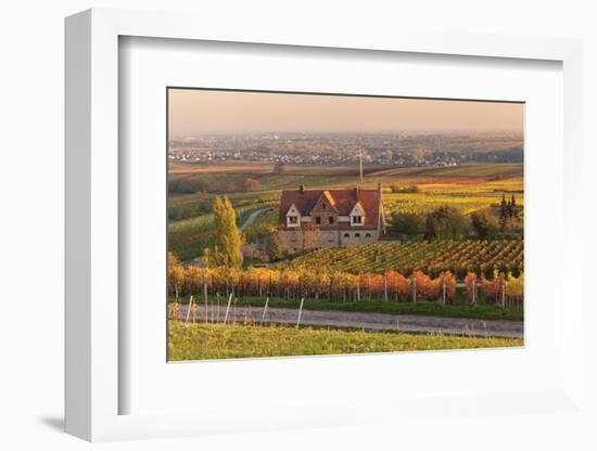 Winery in the Vineyards in Autumn at Sunset-Marcus Lange-Framed Photographic Print