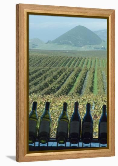 Winery, San Luis Obispo, California, Usa-Natalie Tepper-Framed Stretched Canvas