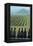 Winery, San Luis Obispo, California, Usa-Natalie Tepper-Framed Stretched Canvas