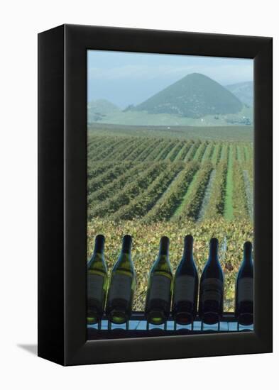 Winery, San Luis Obispo, California, Usa-Natalie Tepper-Framed Stretched Canvas