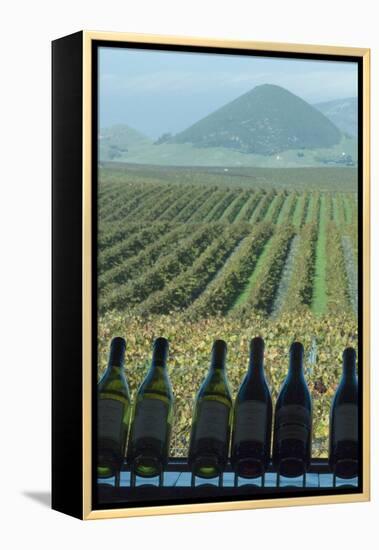 Winery, San Luis Obispo, California, Usa-Natalie Tepper-Framed Stretched Canvas