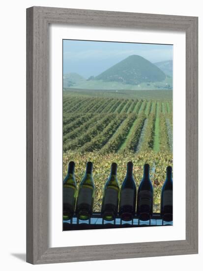 Winery, San Luis Obispo, California, Usa-Natalie Tepper-Framed Photo