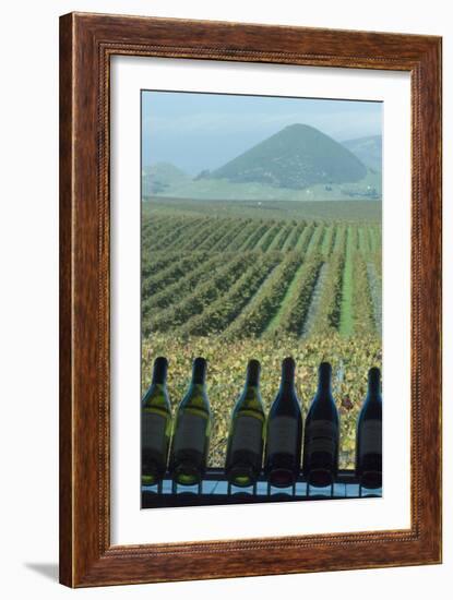 Winery, San Luis Obispo, California, Usa-Natalie Tepper-Framed Photo