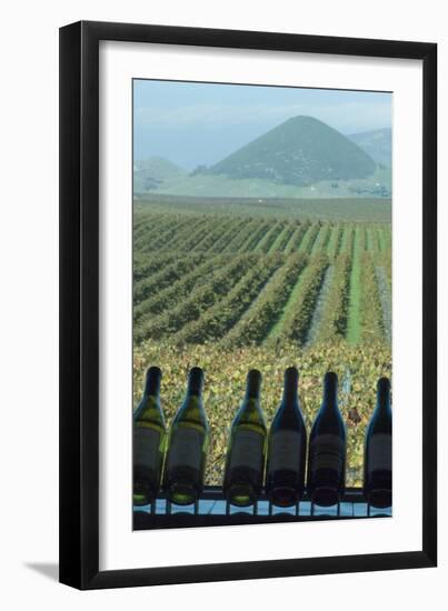 Winery, San Luis Obispo, California, Usa-Natalie Tepper-Framed Photo