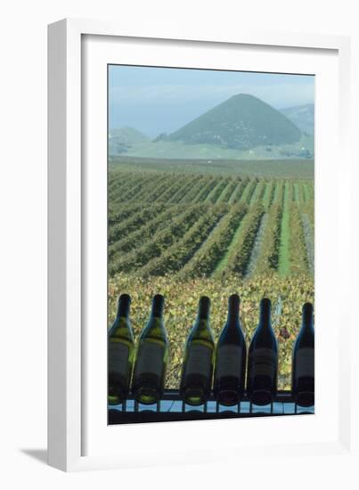 Winery, San Luis Obispo, California, Usa-Natalie Tepper-Framed Photo