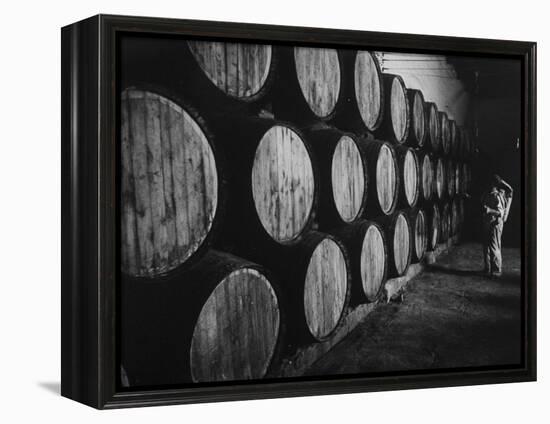 Winery Worker Checking Barrels of Wine-null-Framed Premier Image Canvas