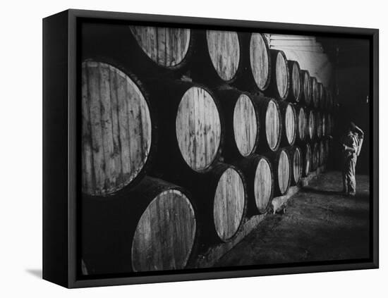 Winery Worker Checking Barrels of Wine-null-Framed Premier Image Canvas