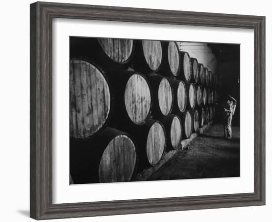 Winery Worker Checking Barrels of Wine-null-Framed Photographic Print