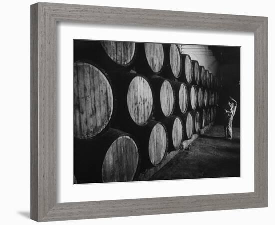 Winery Worker Checking Barrels of Wine-null-Framed Photographic Print