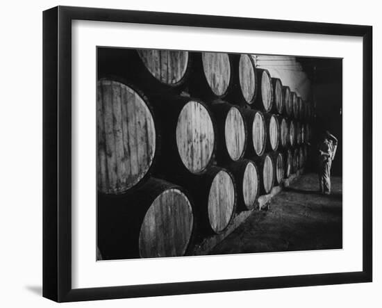 Winery Worker Checking Barrels of Wine-null-Framed Photographic Print