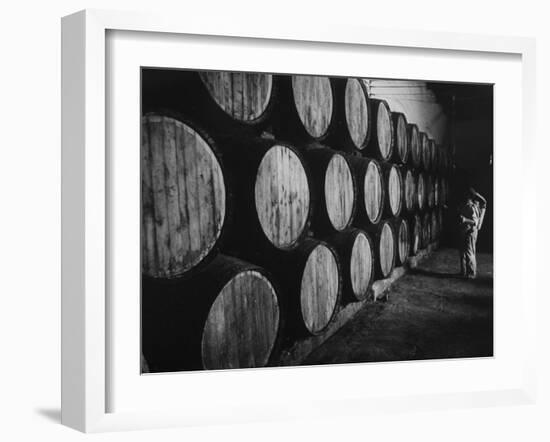Winery Worker Checking Barrels of Wine-null-Framed Photographic Print
