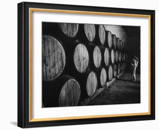 Winery Worker Checking Barrels of Wine-null-Framed Photographic Print